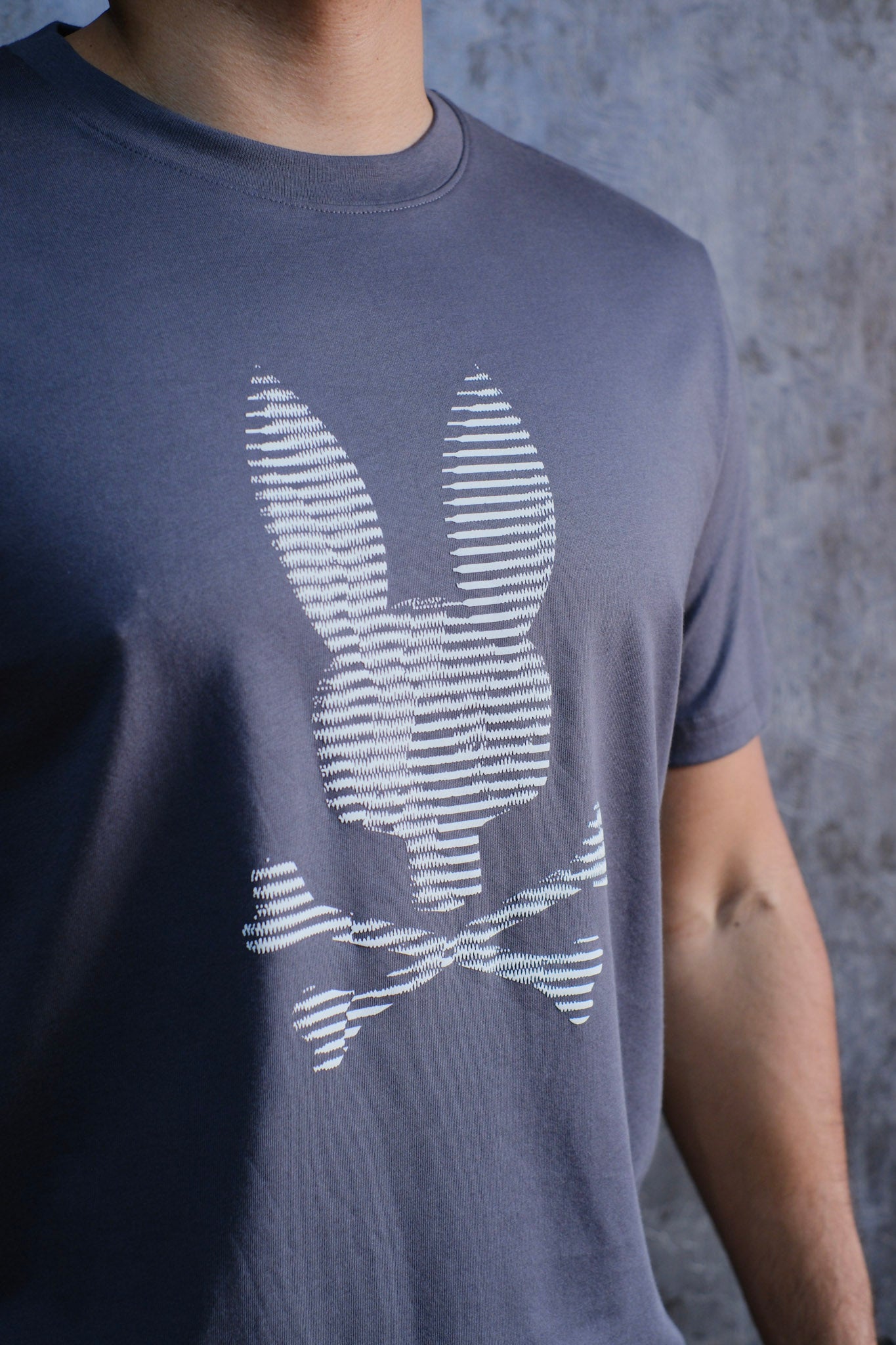 Camiseta PSY Gris 2026